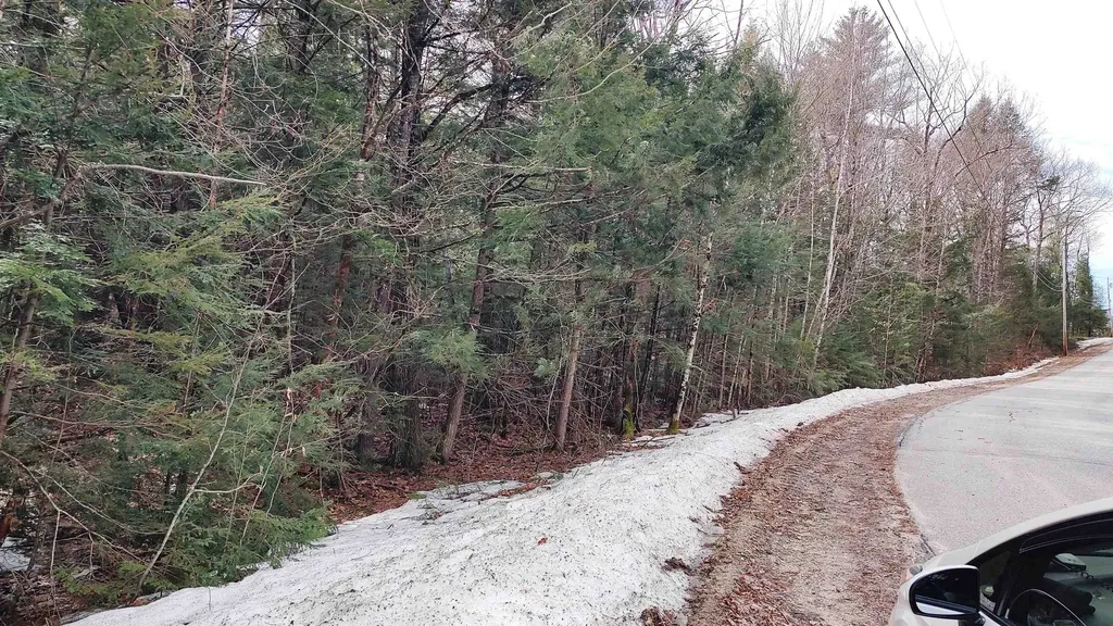 Lot 2-31-6 Bessie Leavitt Lane New Boston NH 03070