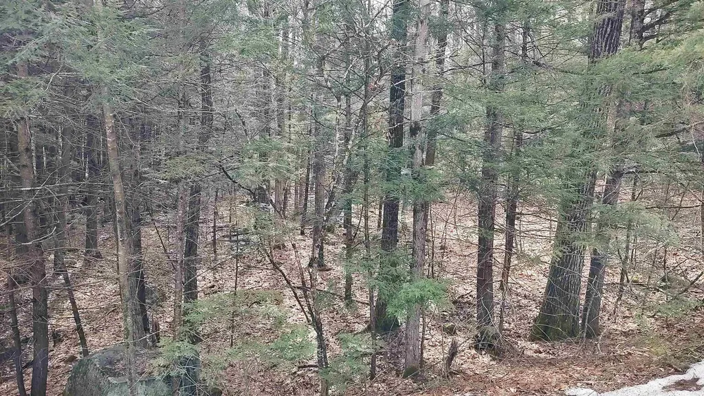 Lot 2-31-6 Bessie Leavitt Lane New Boston NH 03070