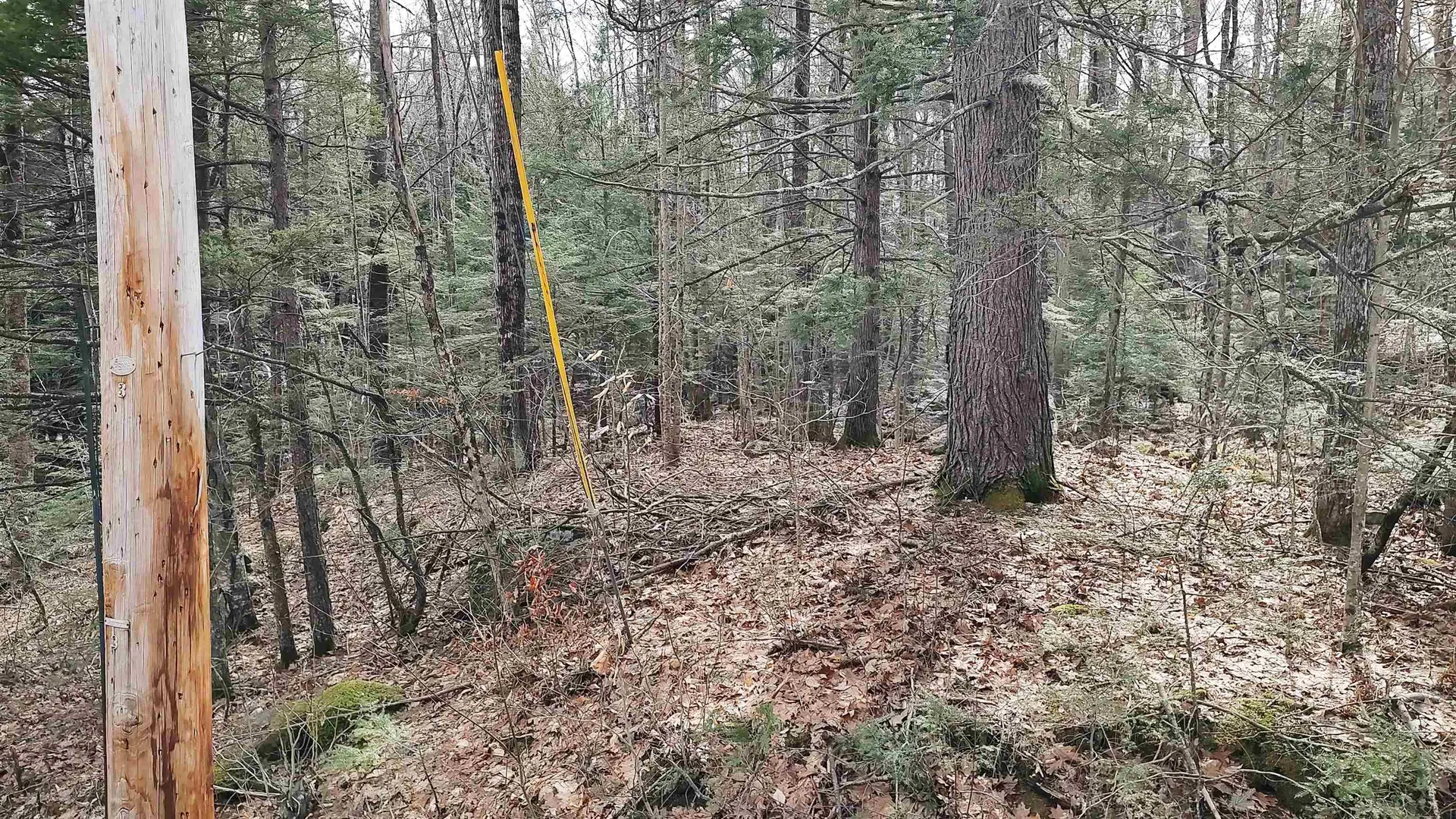 Lot 2-31-6 Bessie Leavitt Lane New Boston NH 03070