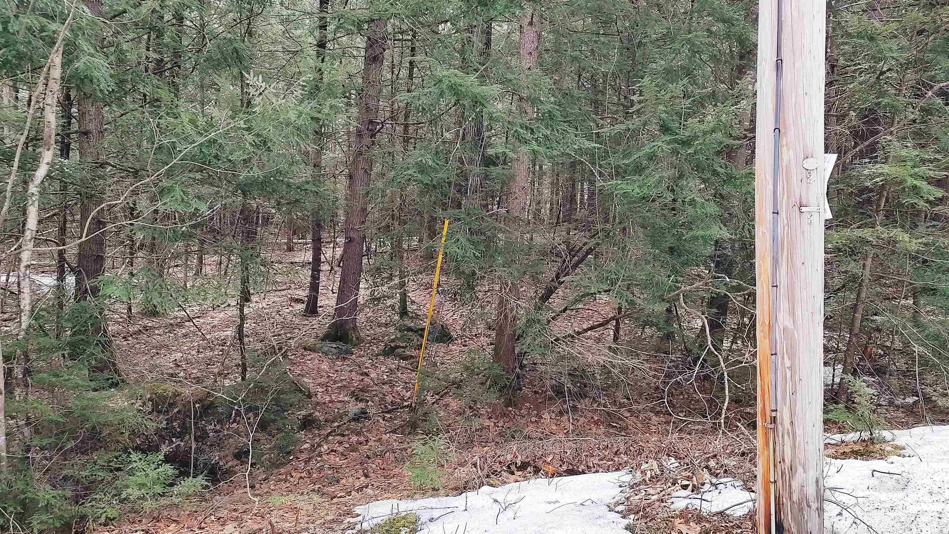 Lot 2-31-6 Bessie Leavitt Lane New Boston NH 03070