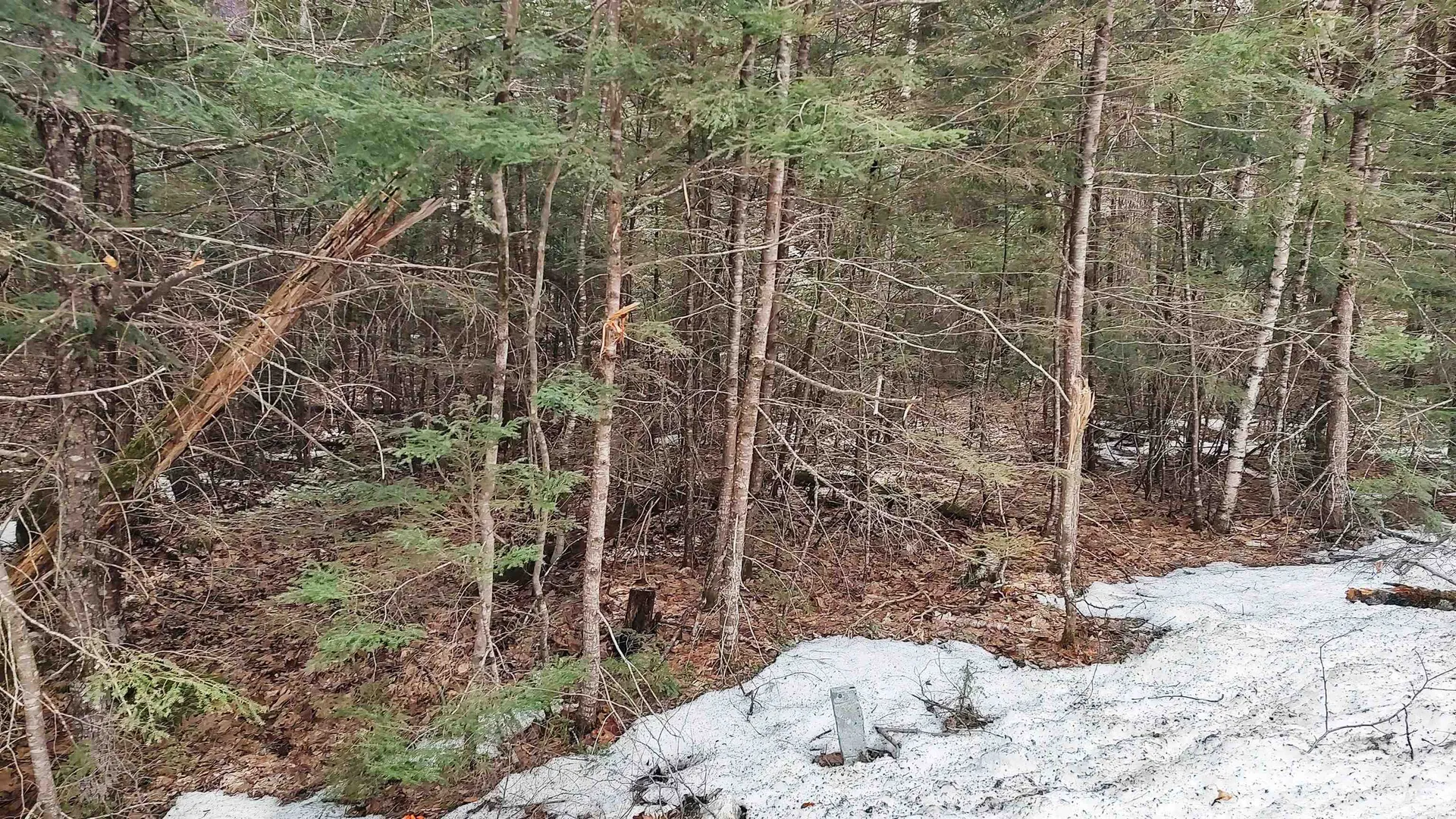 Lot 2-31-6 Bessie Leavitt Lane New Boston NH 03070