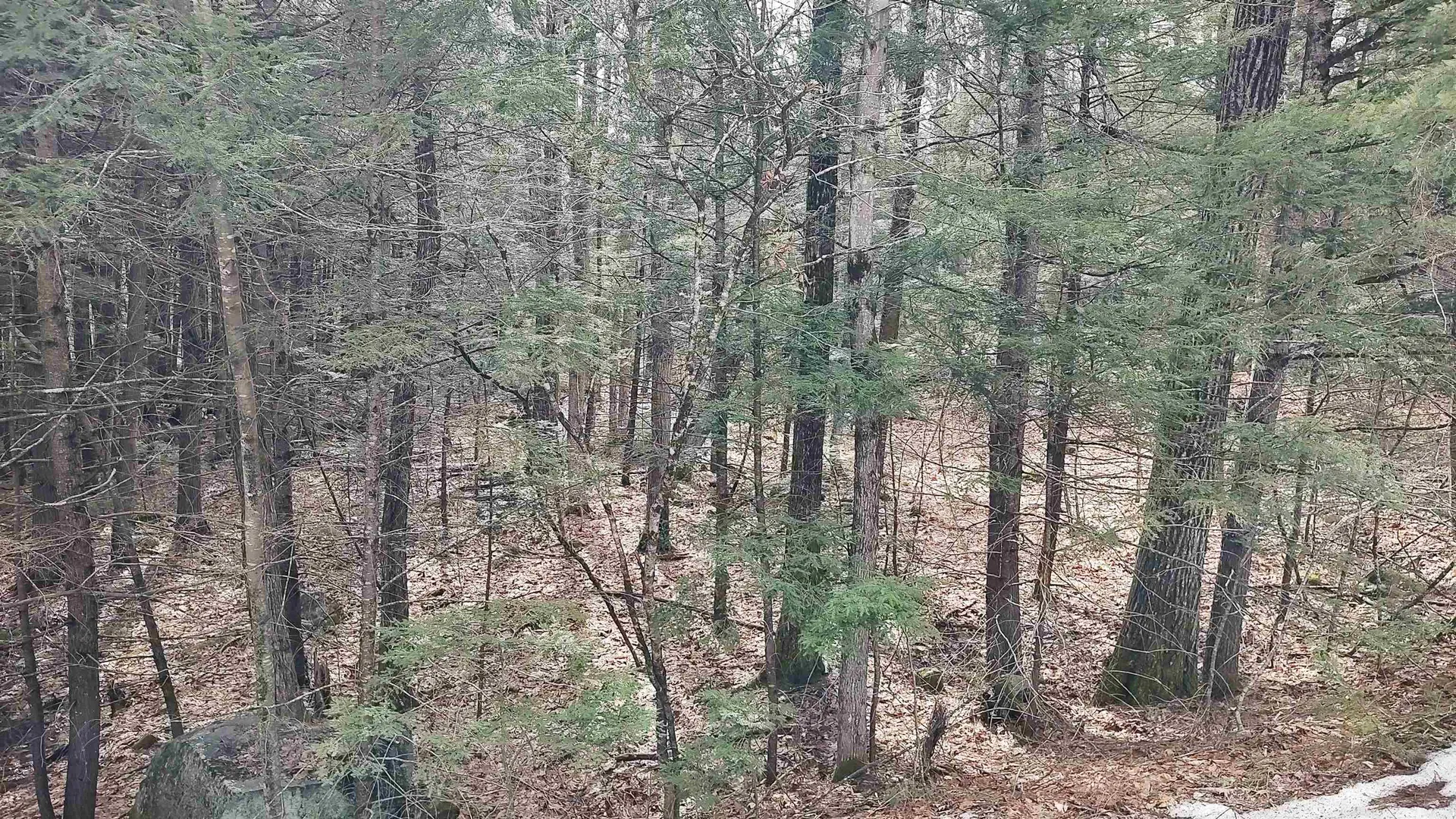 Lot 2-31-6 Bessie Leavitt Lane New Boston NH 03070