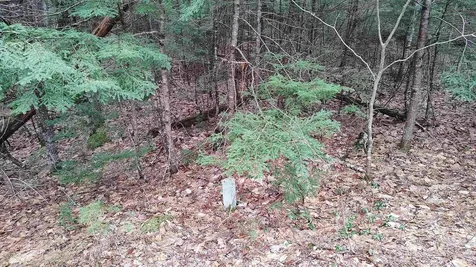 Lot 2-31-6 Bessie Leavitt Lane New Boston NH 03070