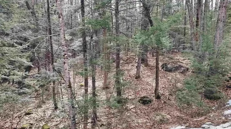 Lot 2-31-6 Bessie Leavitt Lane New Boston NH 03070