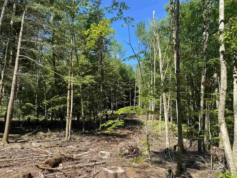 Lot 16-4 Catamount Road Pittsfield NH 03263