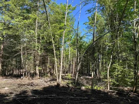 Lot 16-4 Catamount Road Pittsfield NH 03263