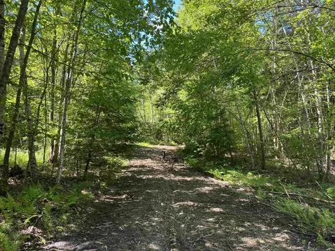 Lot 16-4 Catamount Road Pittsfield NH 03263