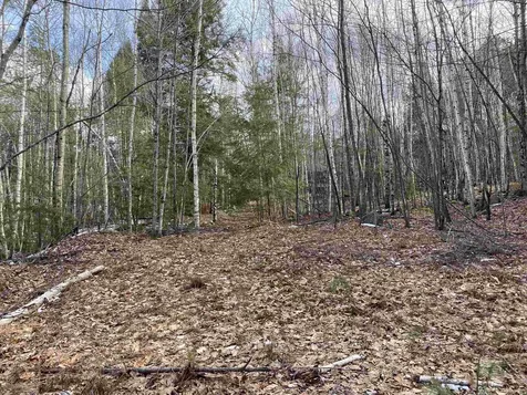 Lot 16-4 Catamount Road Pittsfield NH 03263