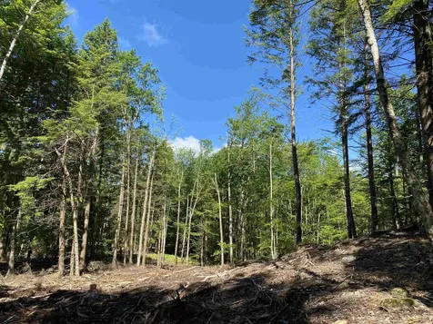 Lot 16-4 Catamount Road Pittsfield NH 03263