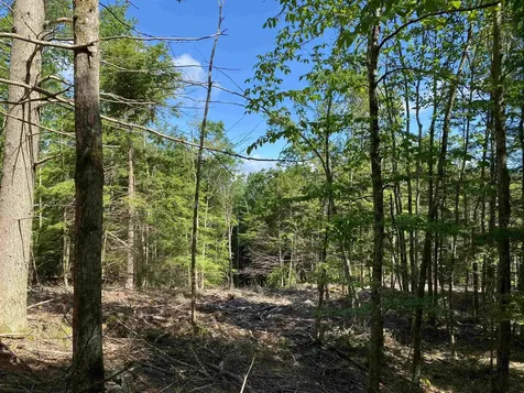 Lot 16-4 Catamount Road Pittsfield NH 03263