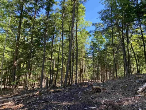 Lot 16-4 Catamount Road Pittsfield NH 03263