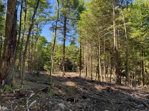 Lot 16-4 Catamount Road Pittsfield NH 03263