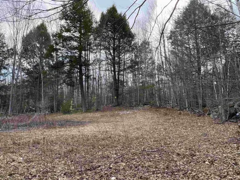 Lot 16-4 Catamount Road Pittsfield NH 03263