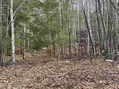 Lot 16-4 Catamount Road Pittsfield NH 03263