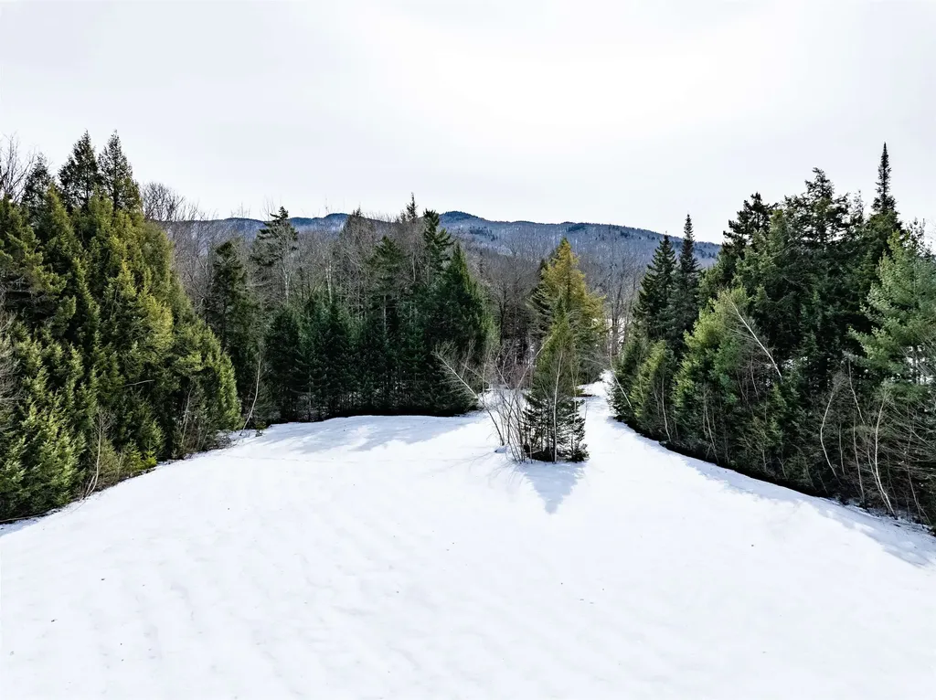 7060 Elmore Mountain Road Morristown VT 05661