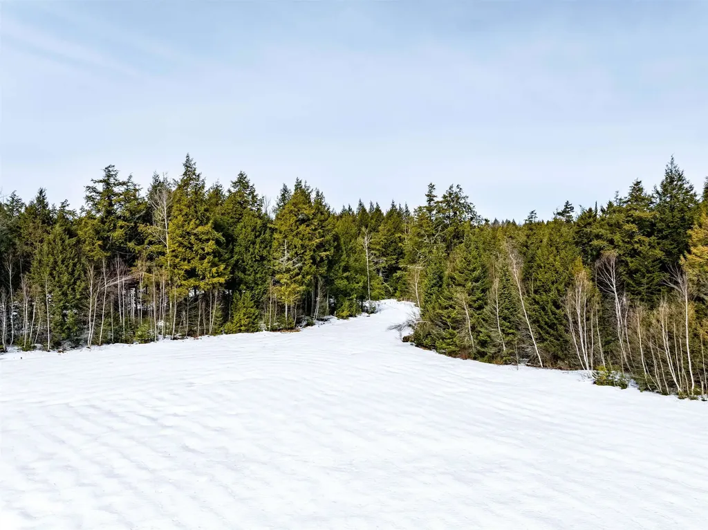 7060 Elmore Mountain Road Morristown VT 05661