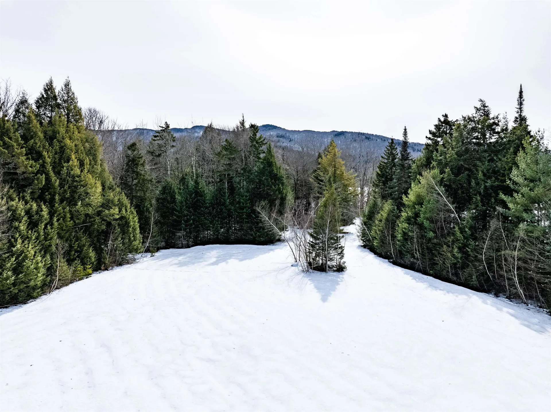 7060 Elmore Mountain Road Morristown VT 05661