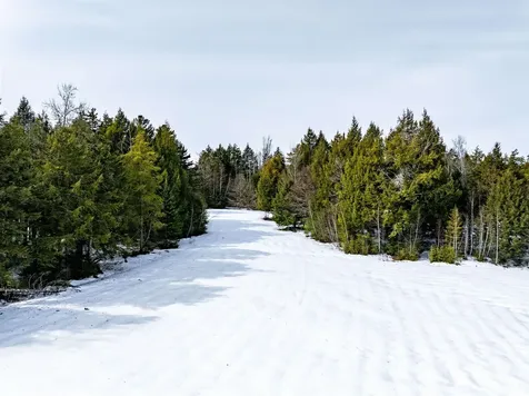 7060 Elmore Mountain Road Morristown VT 05661