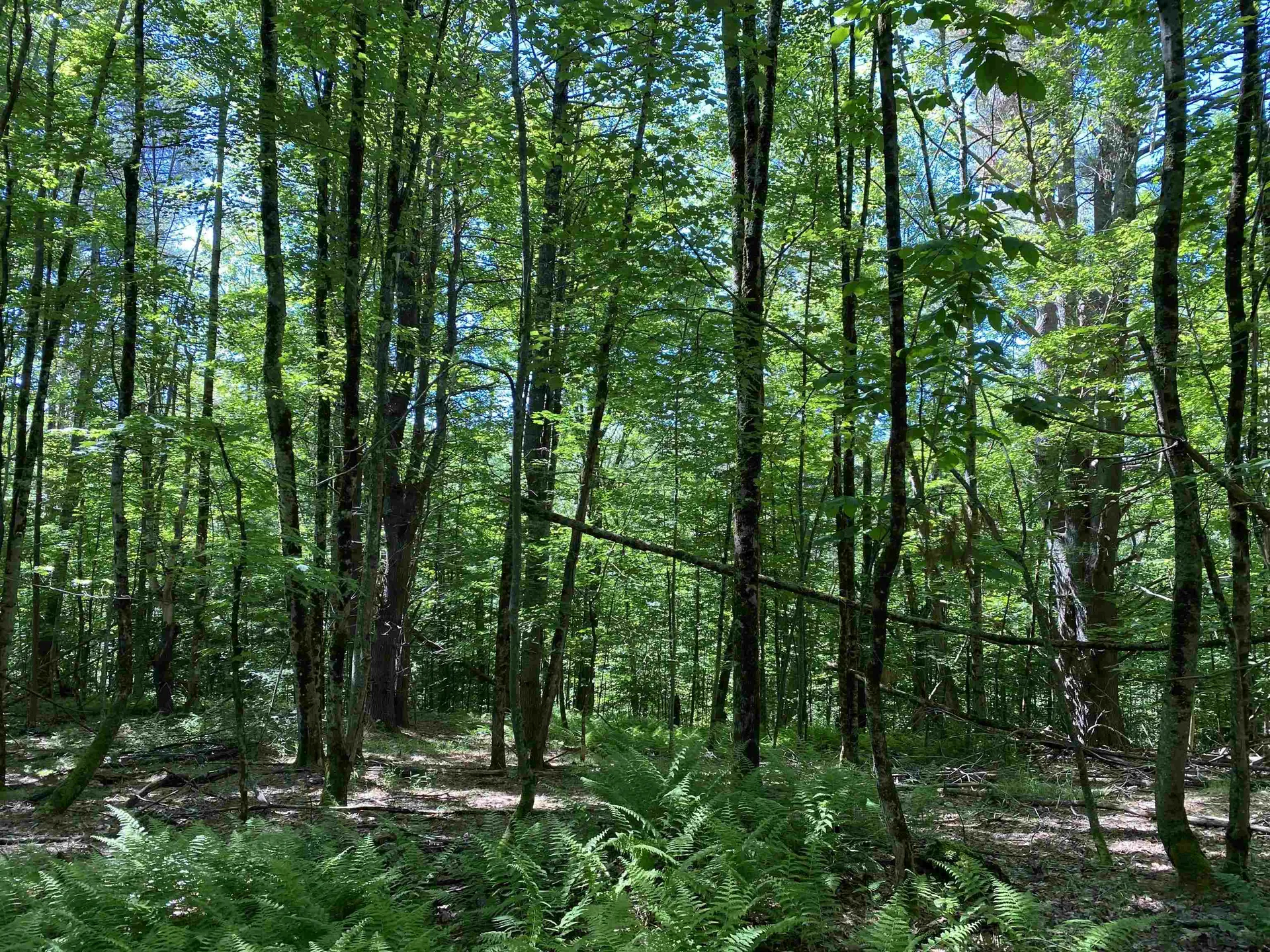 18 Catamount Road Pittsfield NH 03263