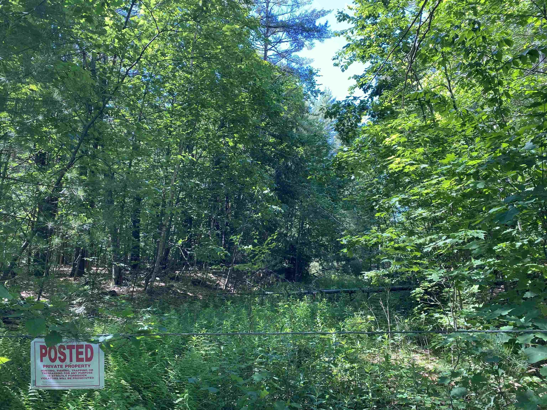 18 Catamount Road Pittsfield NH 03263