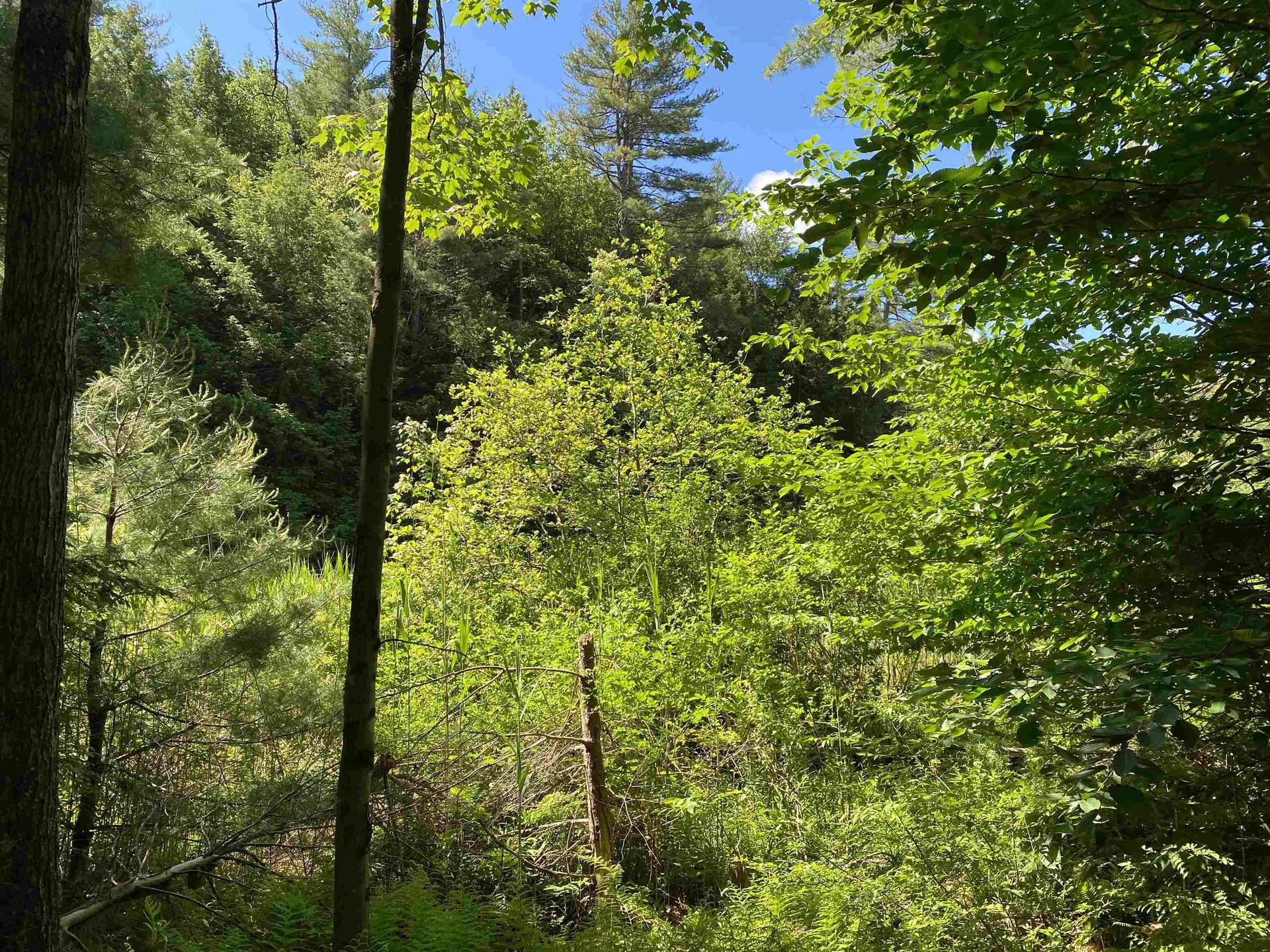 18 Catamount Road Pittsfield NH 03263