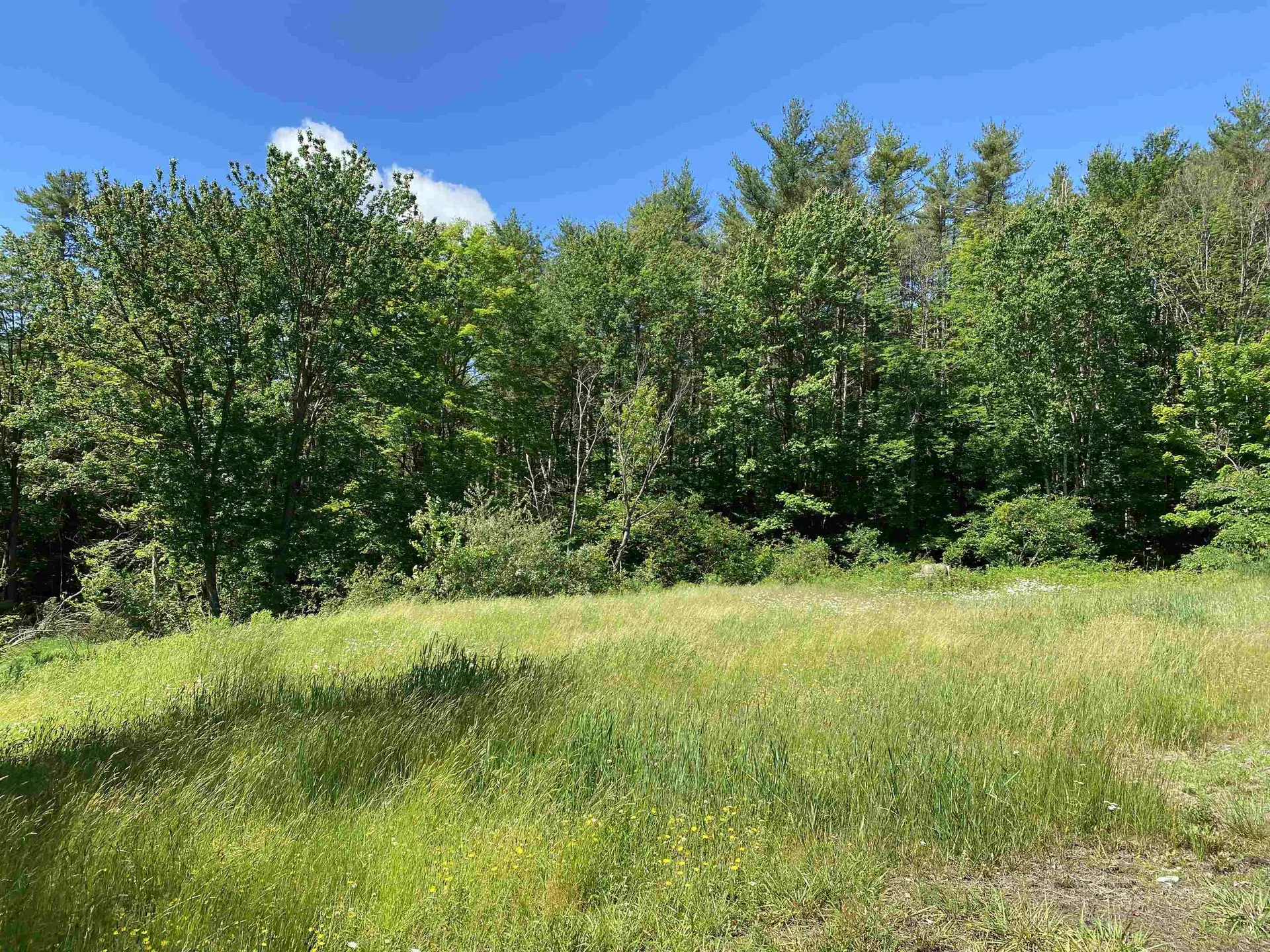 18 Catamount Road Pittsfield NH 03263