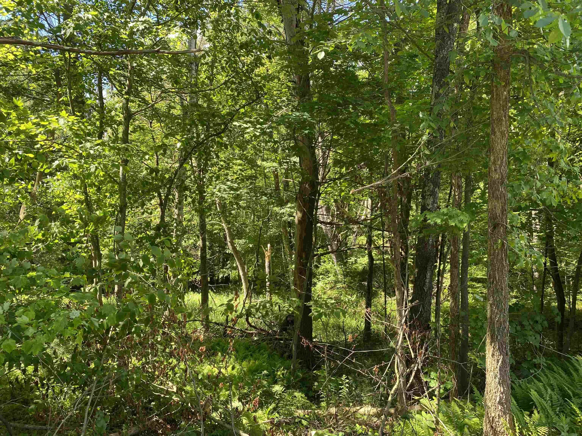 18 Catamount Road Pittsfield NH 03263