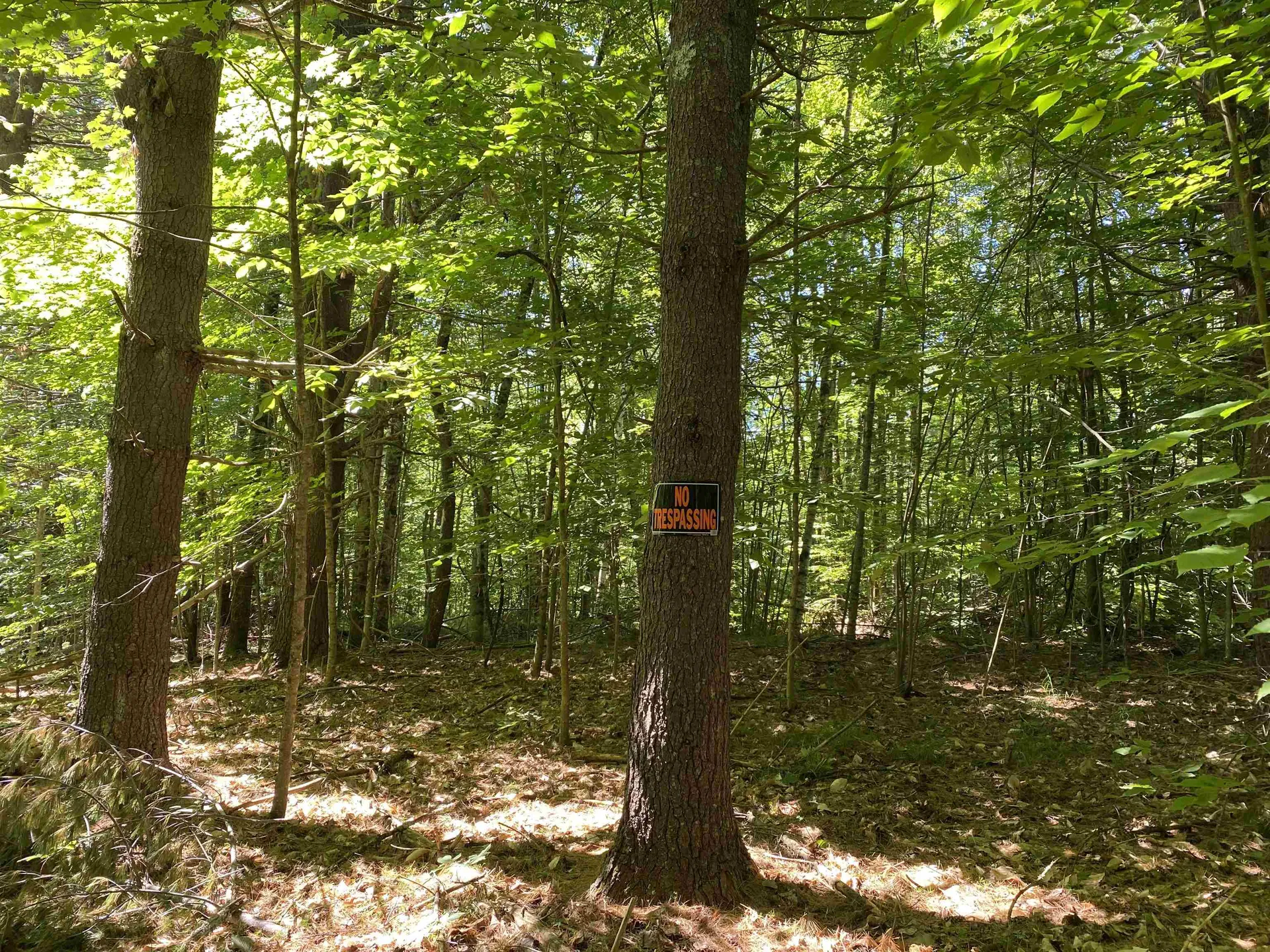 18 Catamount Road Pittsfield NH 03263