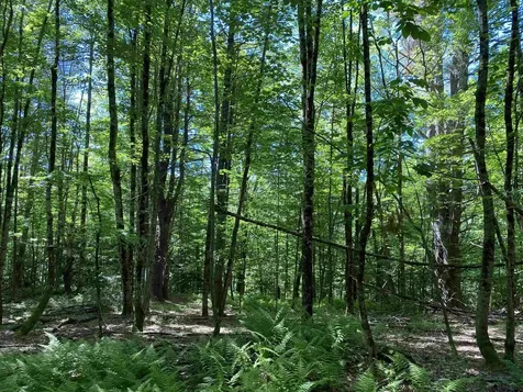 18 Catamount Road Pittsfield NH 03263