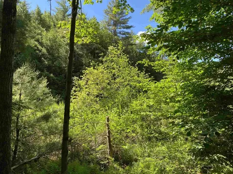 18 Catamount Road Pittsfield NH 03263