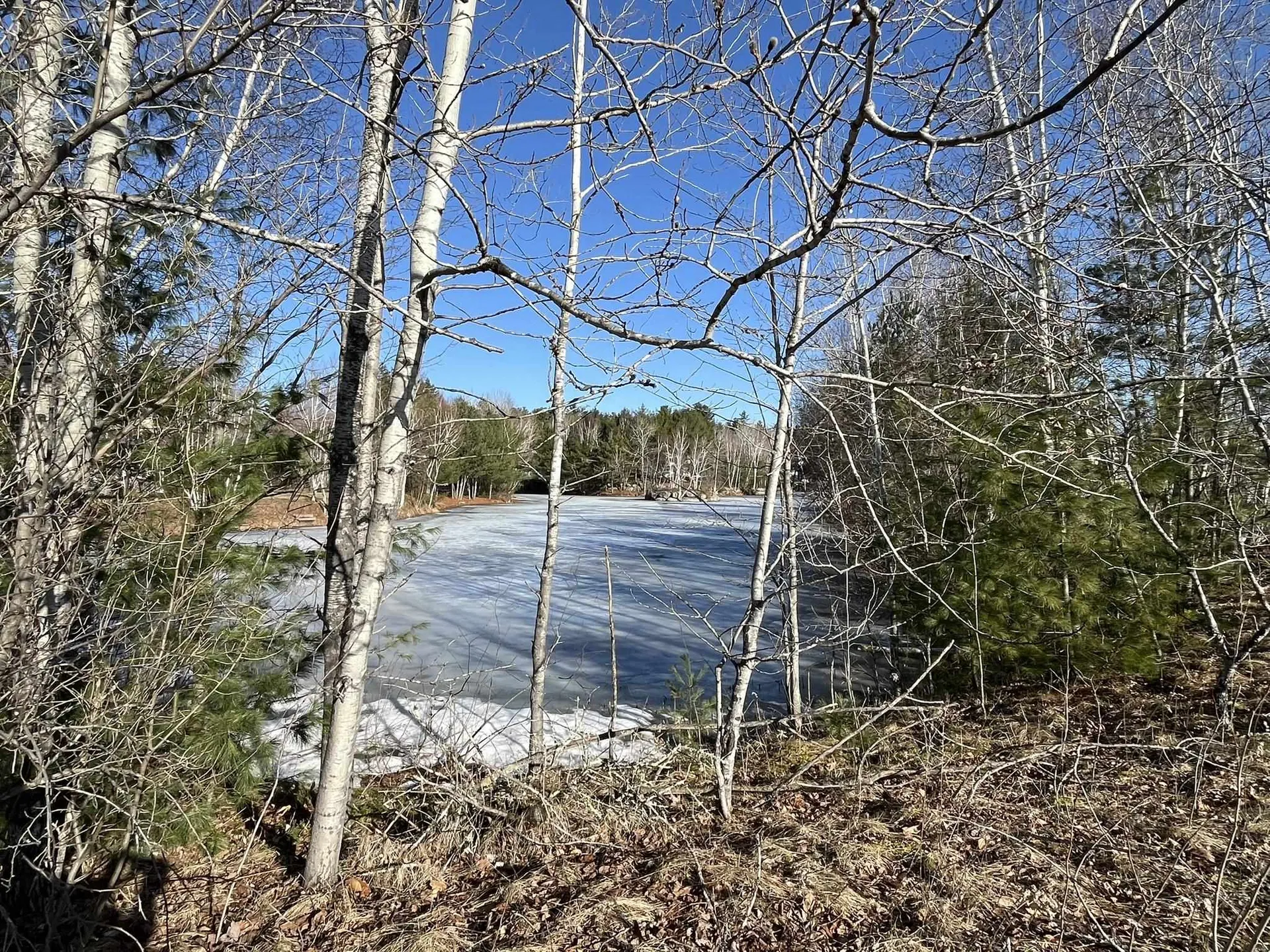 16 Hackberry Lane Laconia NH 03246