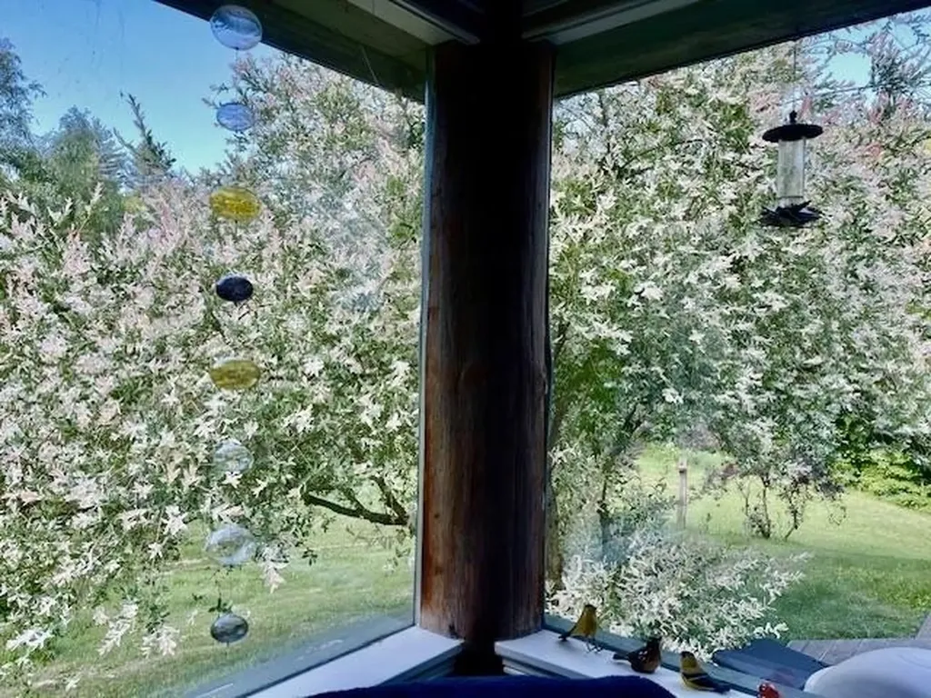 6963 South Road Woodstock VT 05071