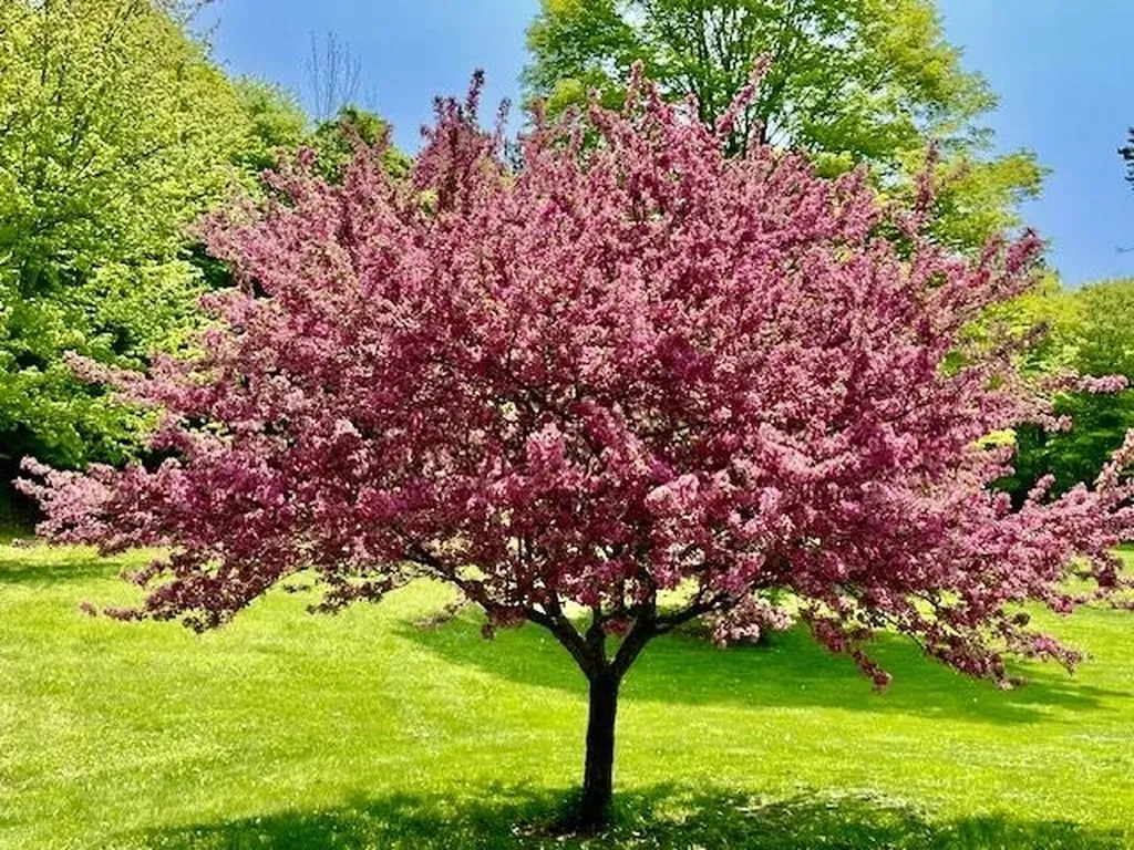 6963 South Road Woodstock VT 05071