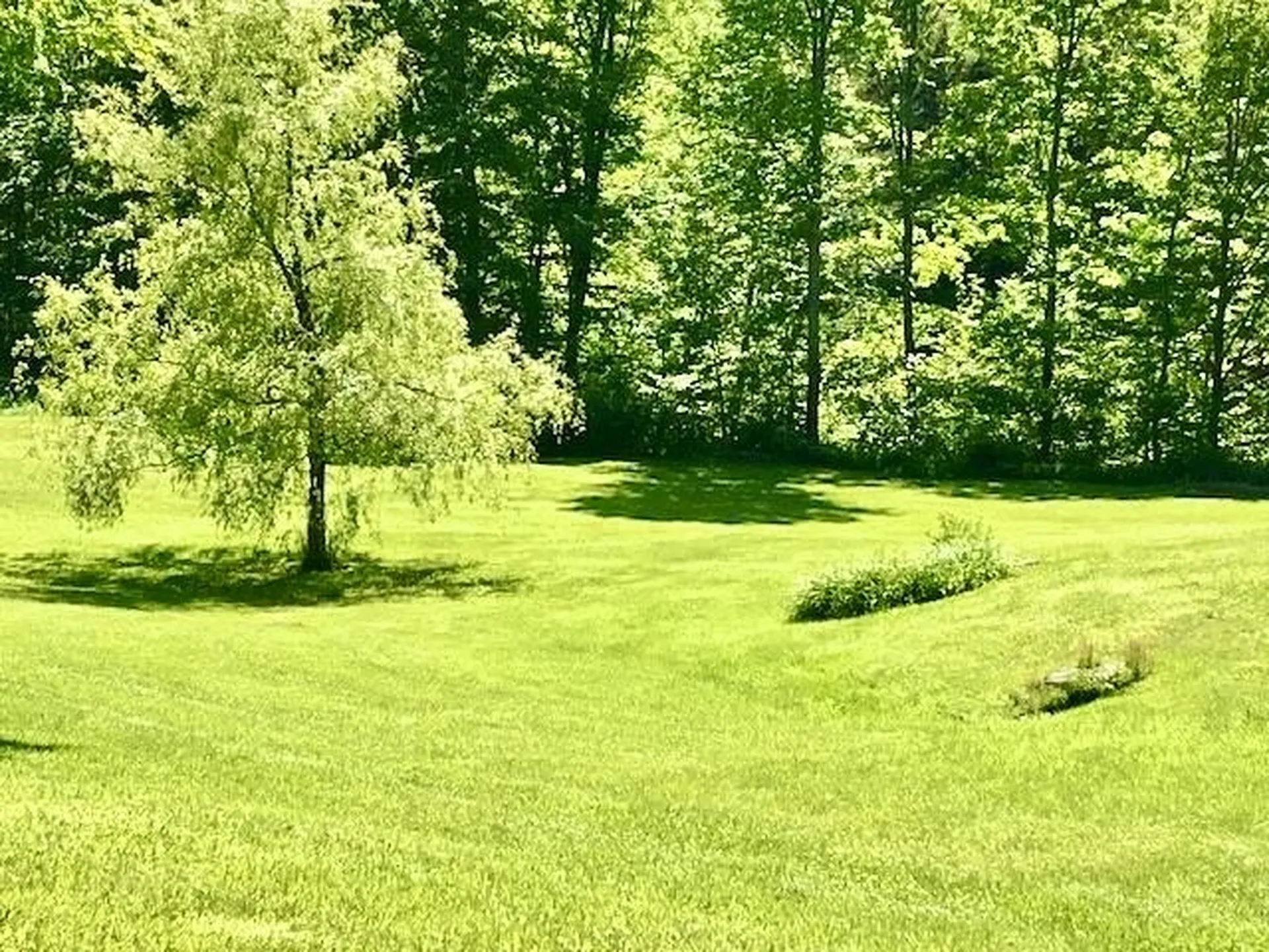 6963 South Road Woodstock VT 05071