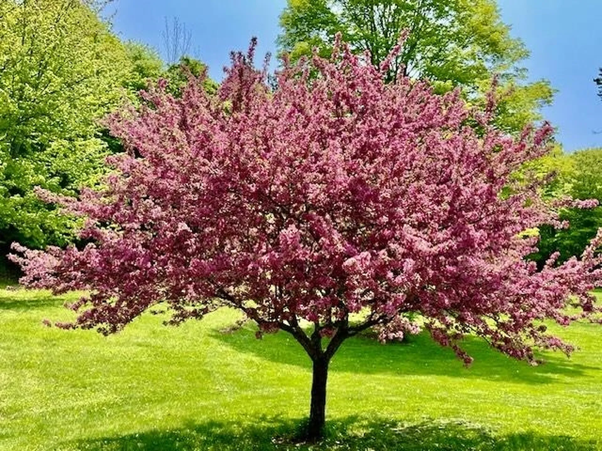 6963 South Road Woodstock VT 05071