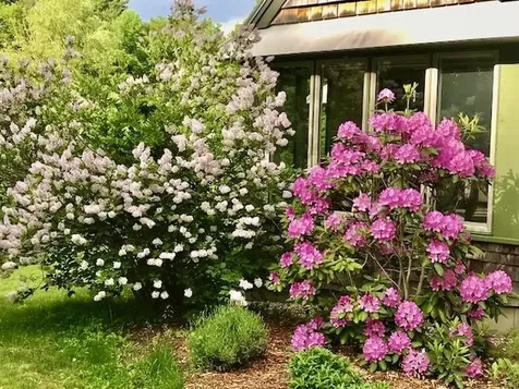 6963 South Road Woodstock VT 05071