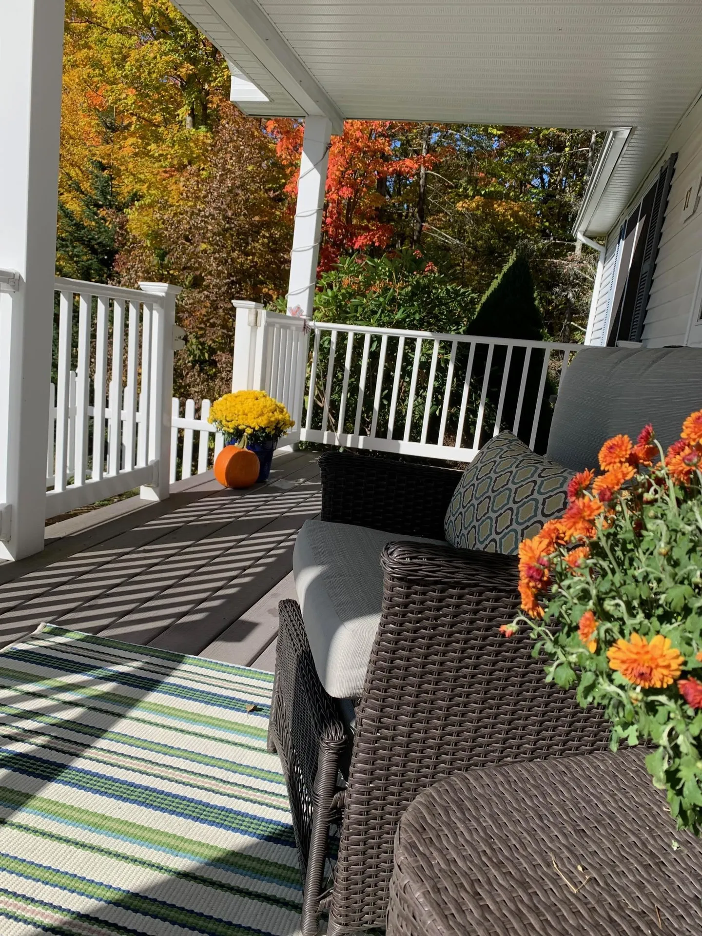 17 Old Town Road Dover VT 05356