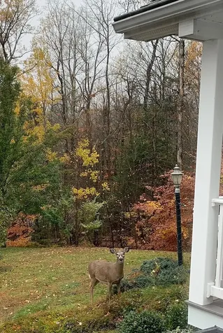 17 Old Town Road Dover VT 05356