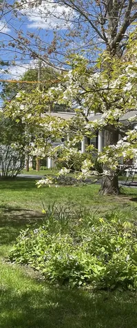 61 Elm Street Walpole NH 03608
