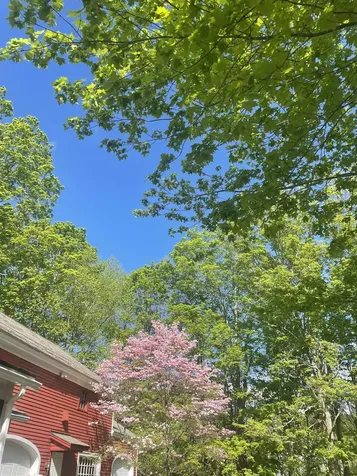 61 Elm Street Walpole NH 03608