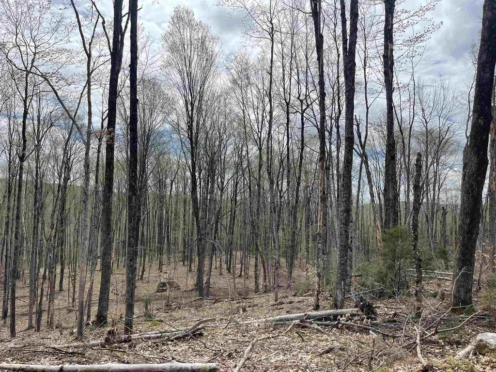 0 Grandview Road Williamstown VT 05079