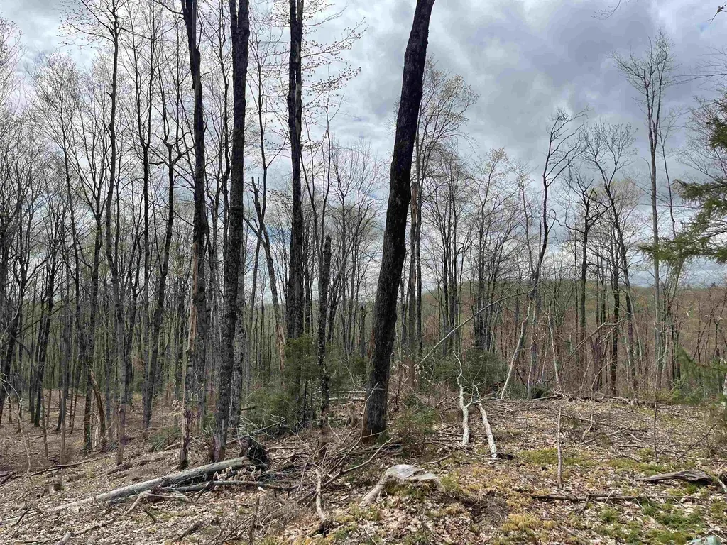 0 Grandview Road Williamstown VT 05079