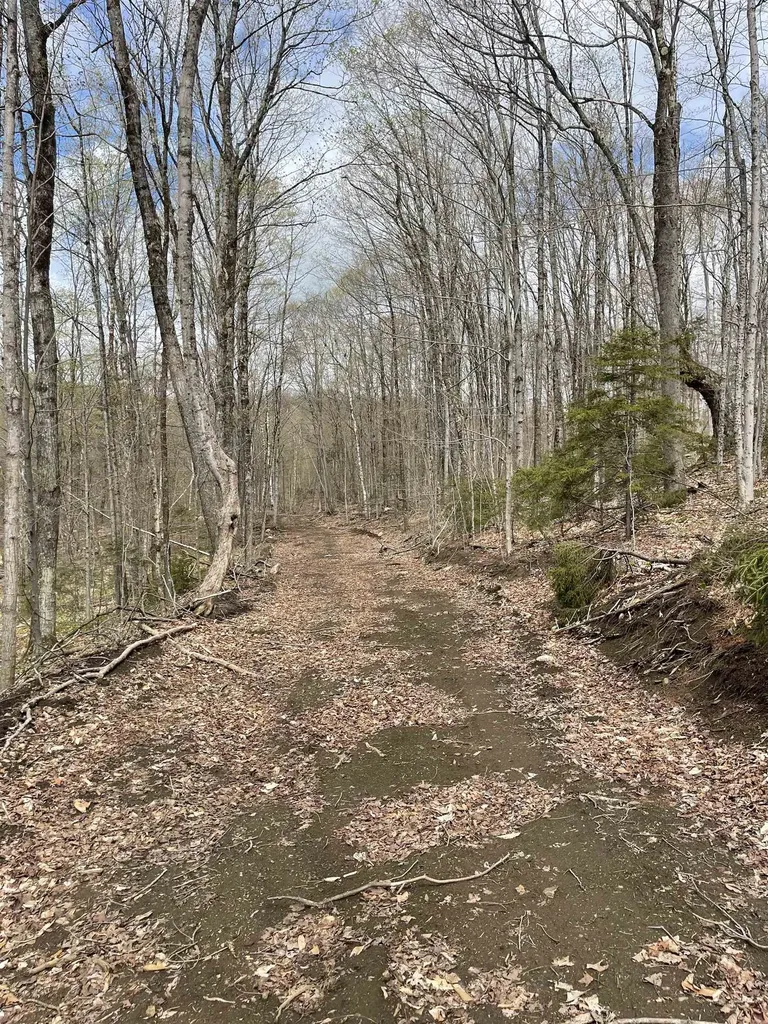 0 Grandview Road Williamstown VT 05079