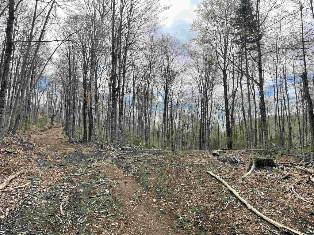 0 Grandview Road Williamstown VT 05079