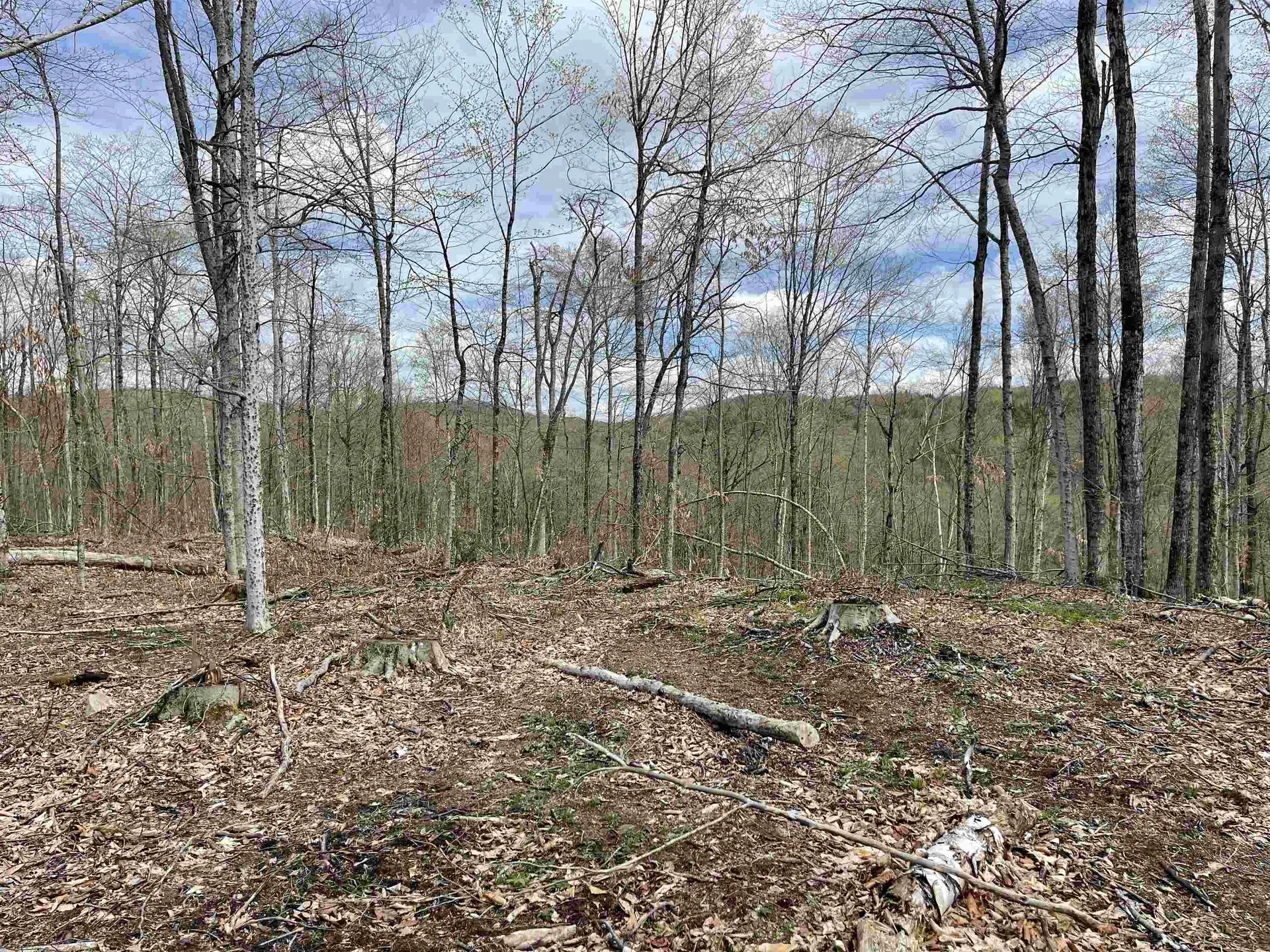 0 Grandview Road Williamstown VT 05079