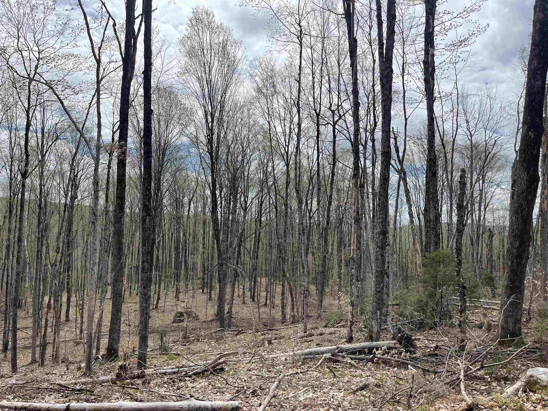 0 Grandview Road Williamstown VT 05079