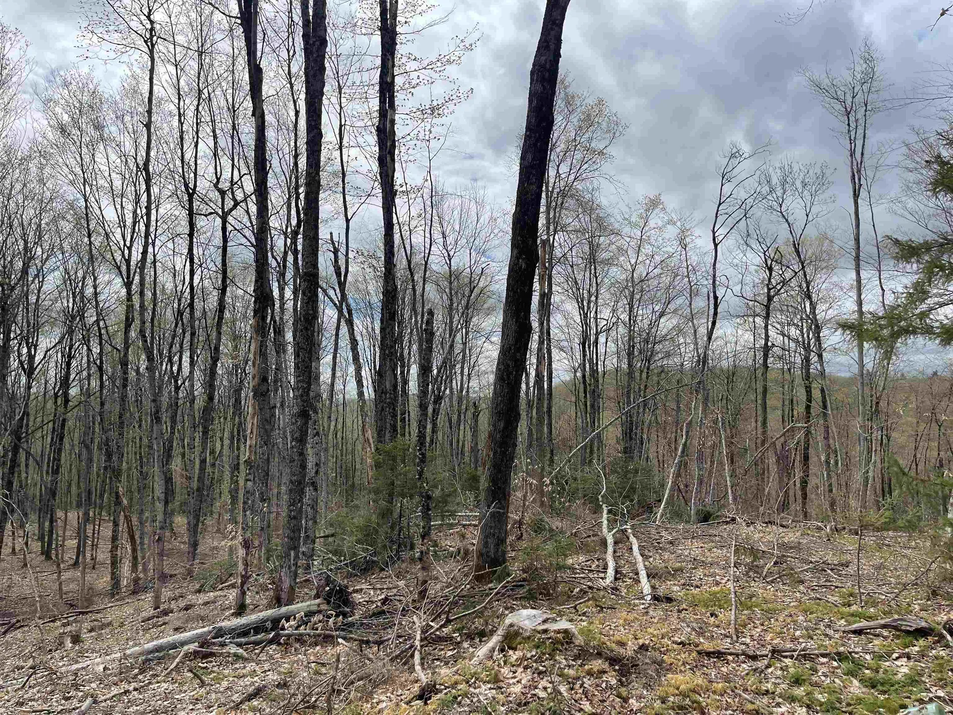 0 Grandview Road Williamstown VT 05079