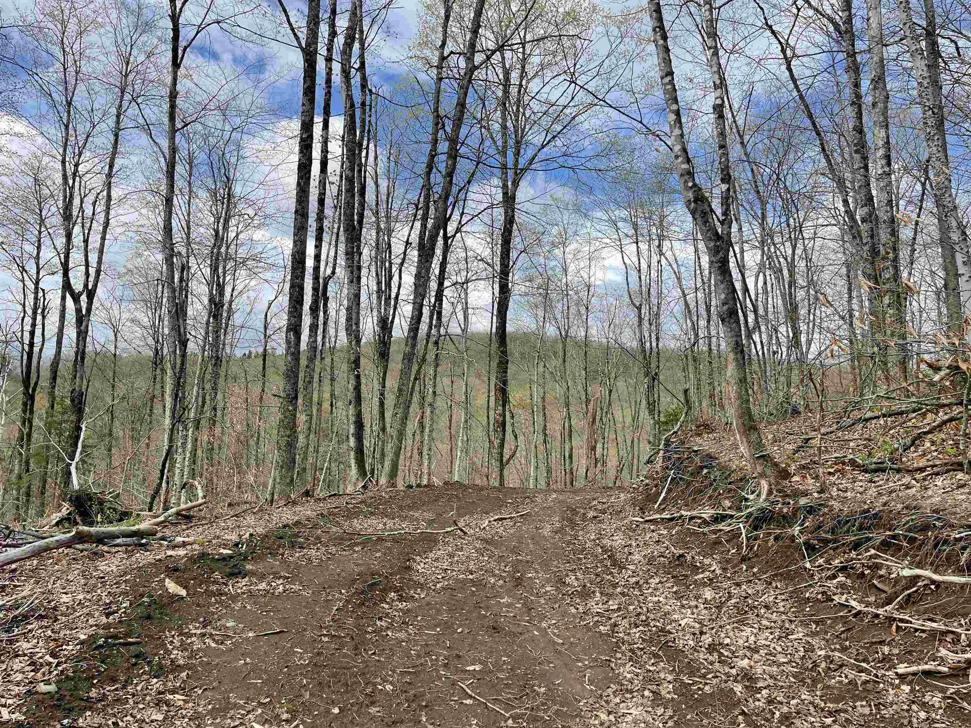 0 Grandview Road Williamstown VT 05079