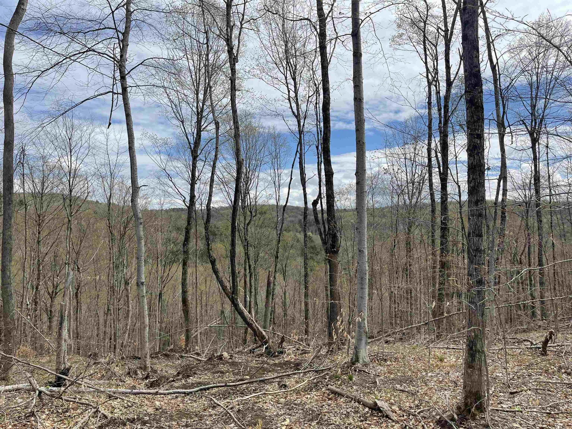 0 Grandview Road Williamstown VT 05079