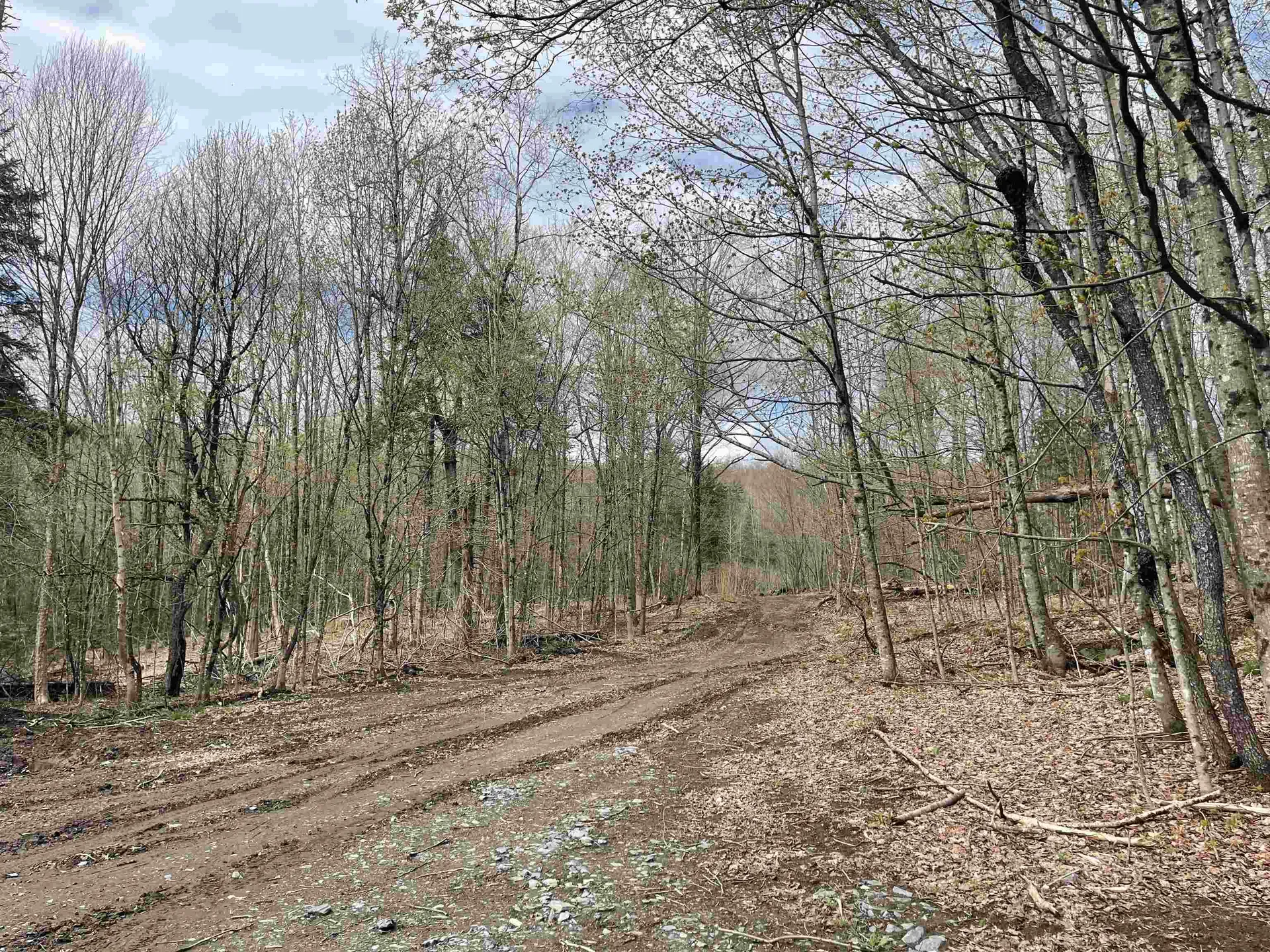 0 Grandview Road Williamstown VT 05079